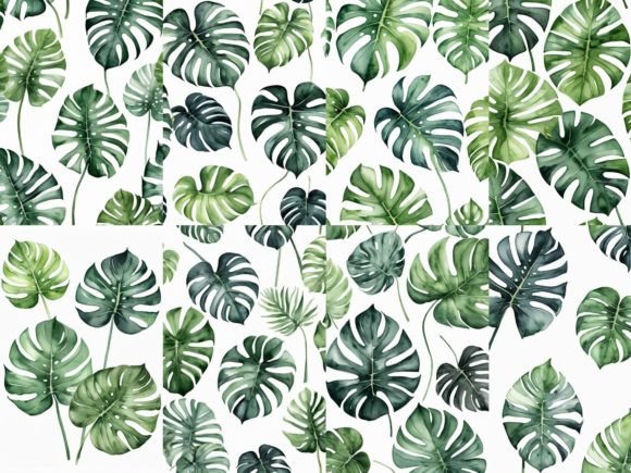 32 Images Monstera Leaves Watercolor Illustrations
