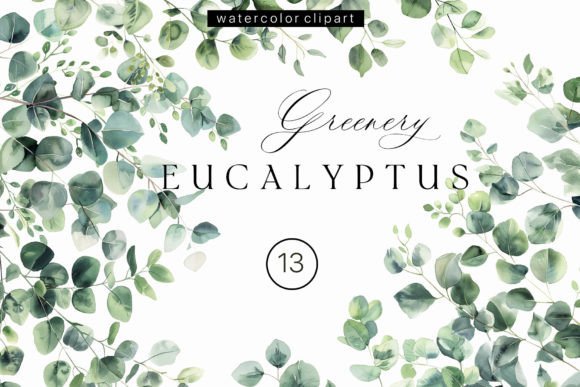 Eucalyptus Greenery Watercolor Clipart Illustrations