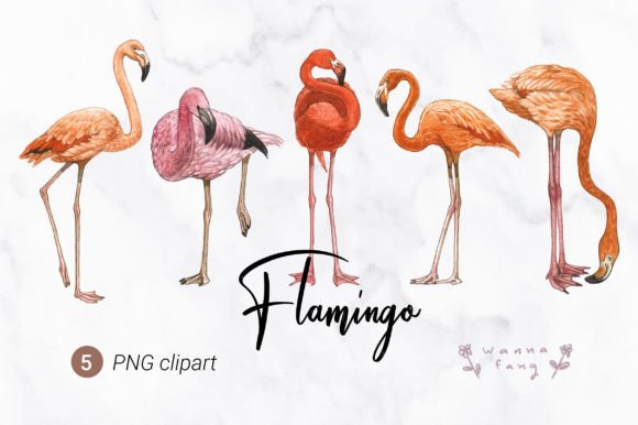 Flamingo Watercolor Animal Clipart PNG Illustrations