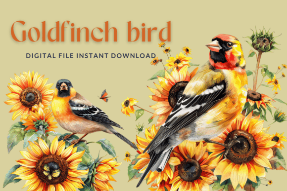 Goldfinch Sunflowers Watercolor Clipart Illustrations
