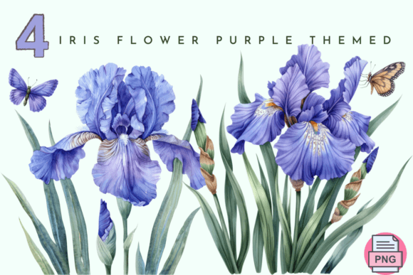 Iris Flower Watercolor Purple Floral Illustrations Review