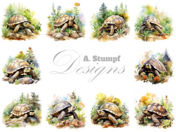 Tortoise Clipart Watercolor Illustrations for Products