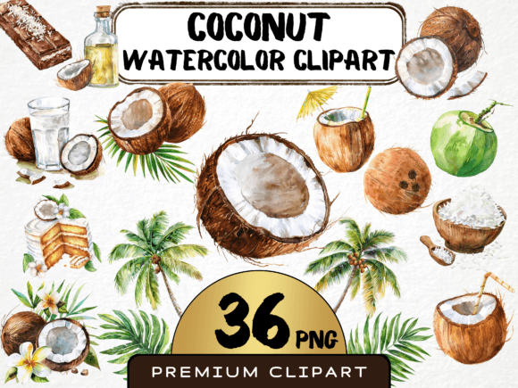 Watercolor Coconut Clipart Bundle: Illustrations for Crafters