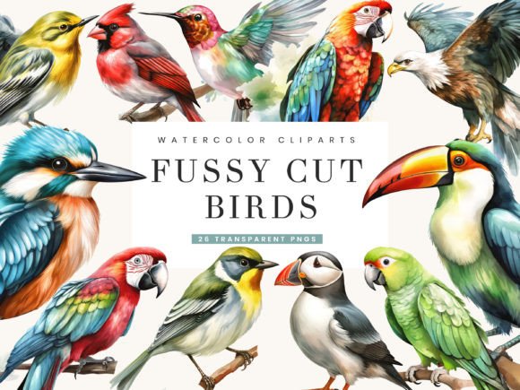 Watercolor Fussy Cut Birds Clipart: Illustrations Review