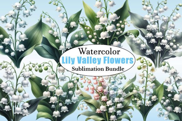 Watercolor Lily of the Valley Flowers Illustrations