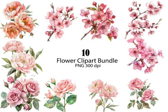 Watercolor Pink Roses Clipart Bundle: Illustrations Review