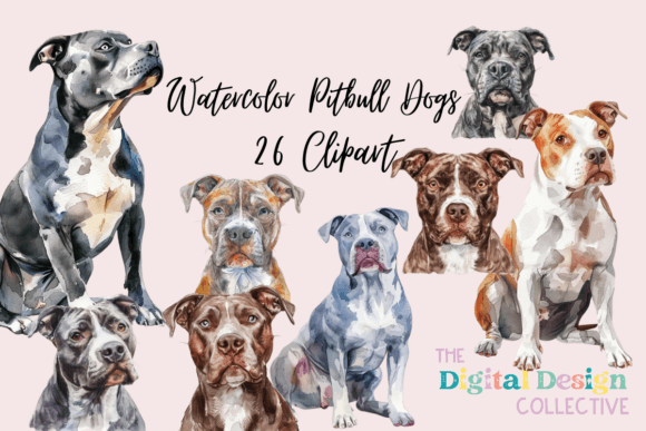 Watercolor Pitbull Dog Clipart: Illustrations Review