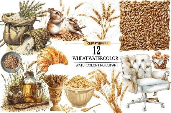 Wheat Watercolor Clipart: Editorial Illustrations Review