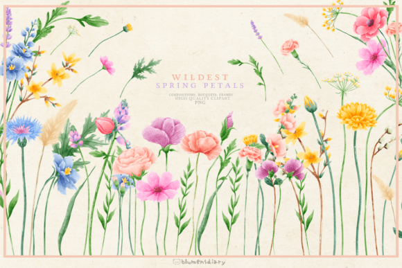 Wildflower Watercolor Collection: Illustrations for Branding